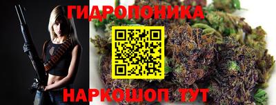 спайс Будённовск
