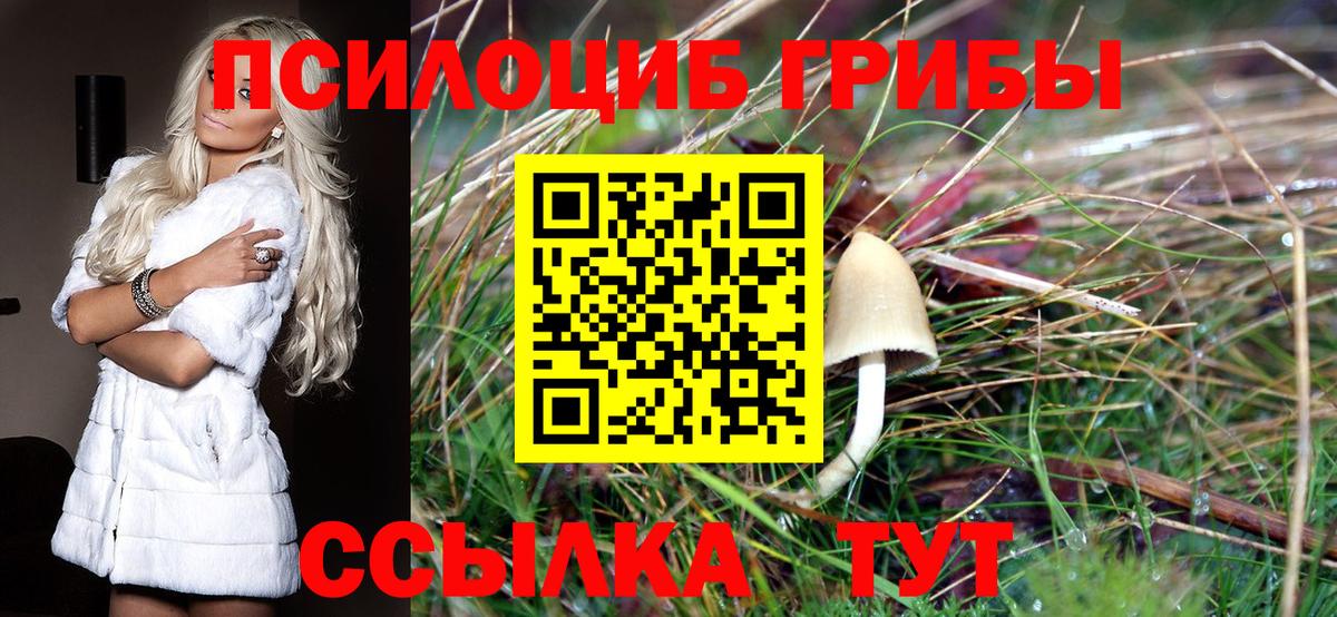 Новоалтайск  Псилоцибиновые грибы Cubensis  Вход с VPN 