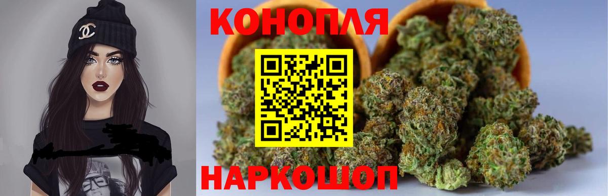 Шишки марихуана семена  Бошки Шишки AK-47  Новоалтайск  Вход с VPN  Конопля тримм 